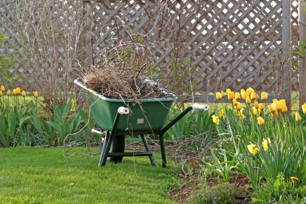 Flower Bed Cleanup Service in Valencia