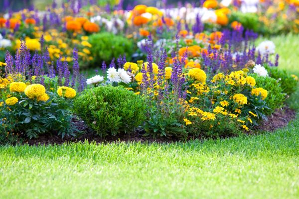 Flower Bed Maintenance in Valencia