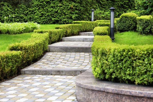 Backyard Remodeling in Valencia