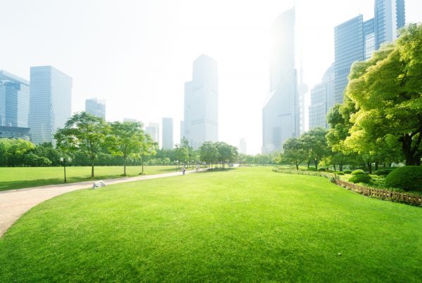 Commercial Landscape Maintenance in Valencia