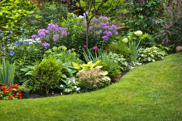 Flower Bed Service in Valencia