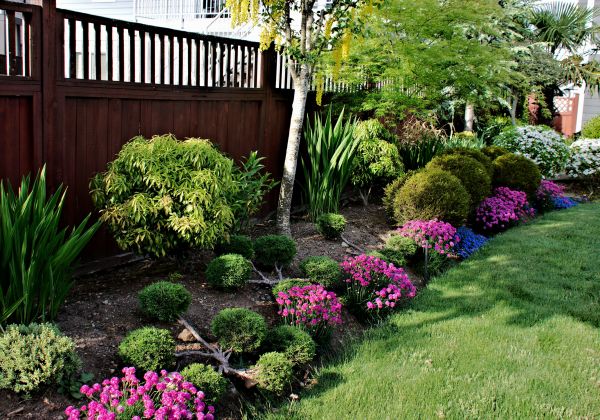Garden Care Service in Valencia