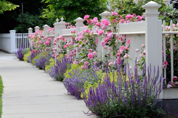 Garden Handyman Service in Valencia