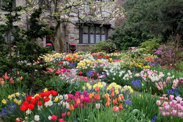 Garden Maintenance Service in Valencia