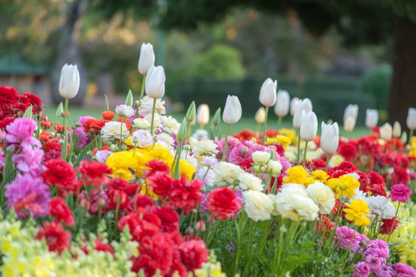 Gardening Service in Valencia