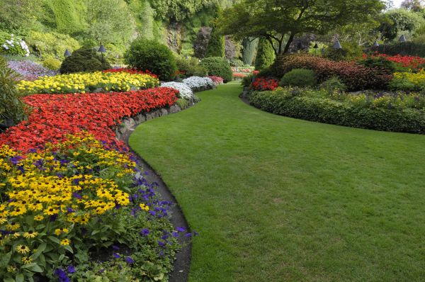 Landscaping Maintenance in Valencia