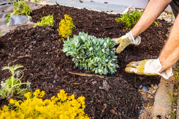 Weeding And Mulching in Valencia