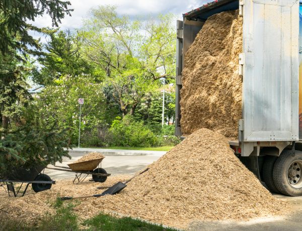 Wood Chips Delivery in Valencia