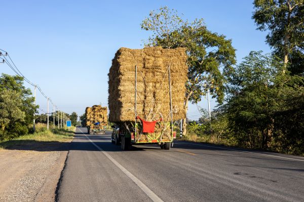 Pine Straw Delivery in Valencia