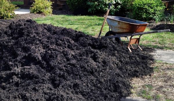 Black Mulch Delivery in Valencia