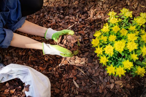 Garden Mulching in Valencia
