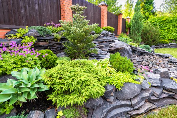 Landscape Remodeling in Valencia