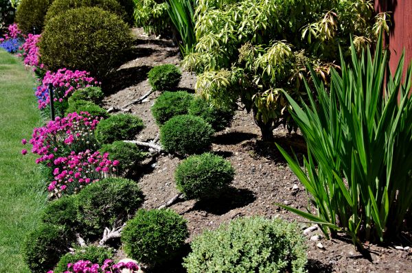 Residential Gardening in Valencia