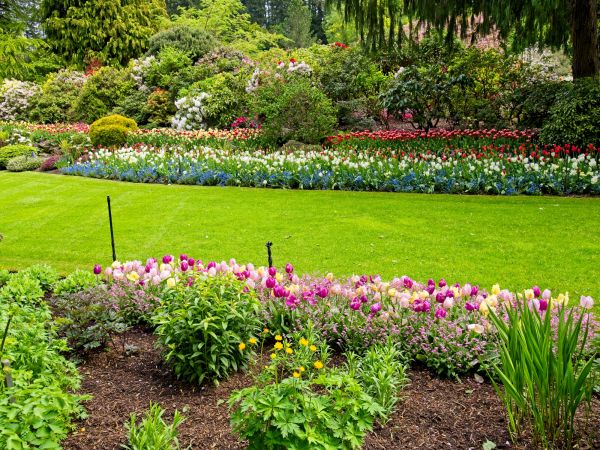 Residential Landscape Design in Valencia