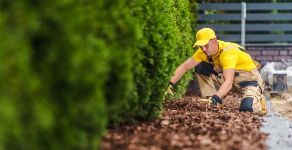 Cypress Mulch Installation in Valencia