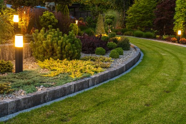 Garden Repair Service in Valencia