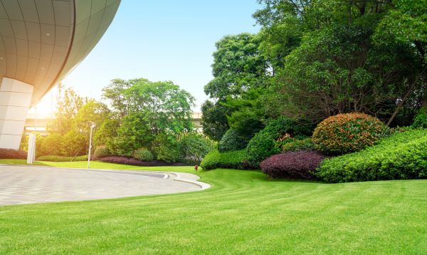 Business Landscape Design in Valencia