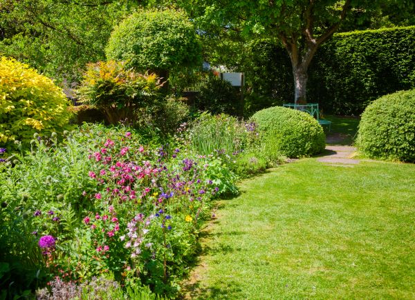 Yard Landscaping Service in Valencia