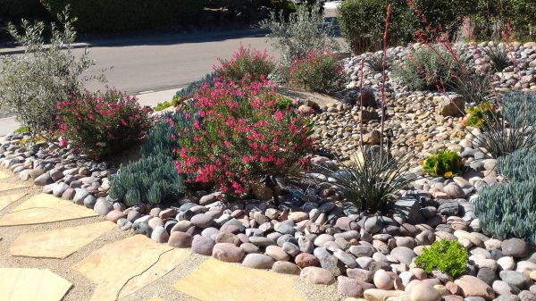 Xeriscape Landscaping in Valencia