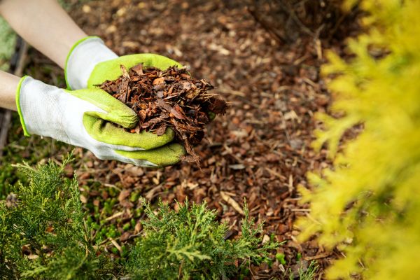 Garden Mulch Delivery in Valencia