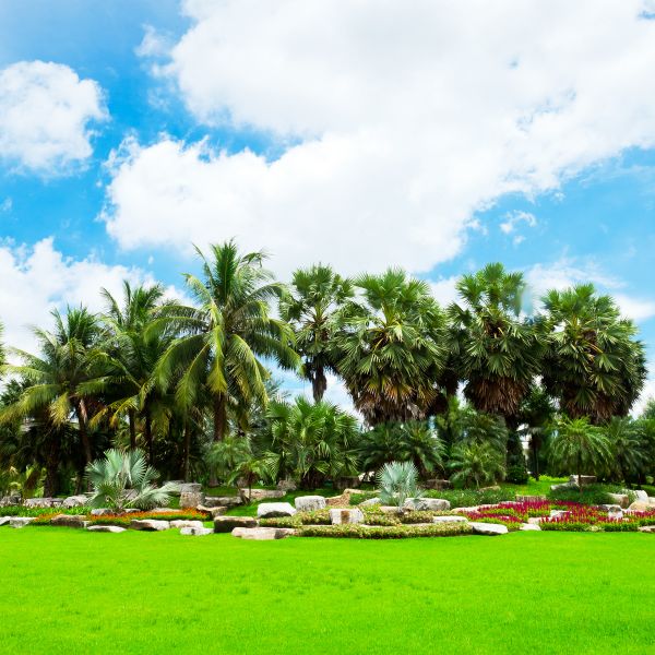 Tropical Landscaping in Valencia