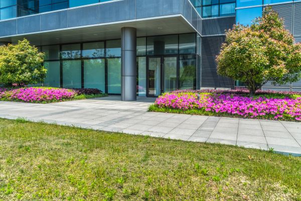 Commercial Gardening in Valencia