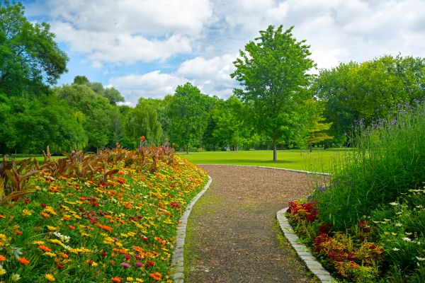 Park Landscaping in Valencia