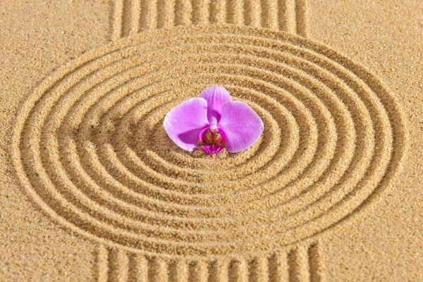 Sand Garden Landscaping in Valencia