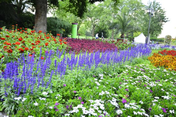 Perennials Planting in Valencia