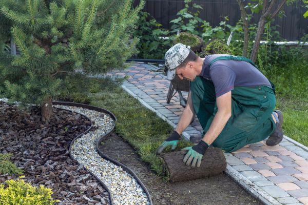 Landscaping Modification in Valencia