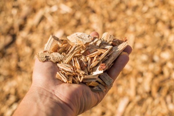 Wood Chips Spreading in Valencia