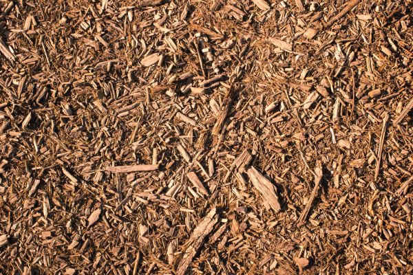 Wood Chips Removal in Valencia