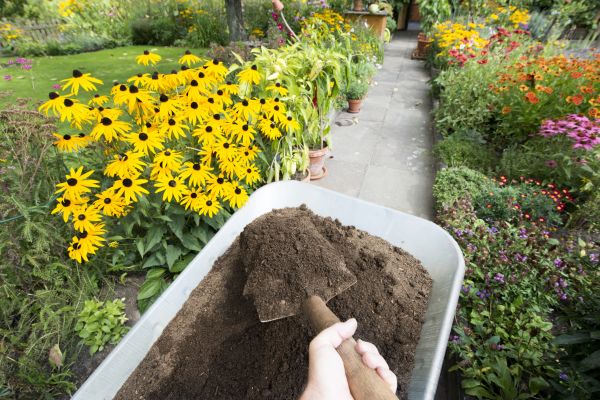 Topsoil Replacement in Valencia