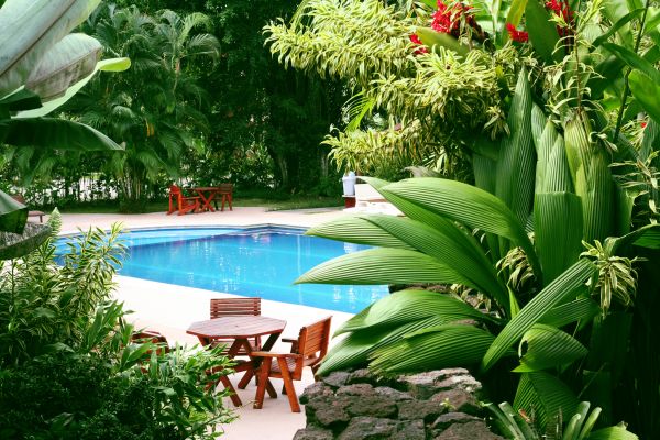 Pool Area Landscaping in Valencia