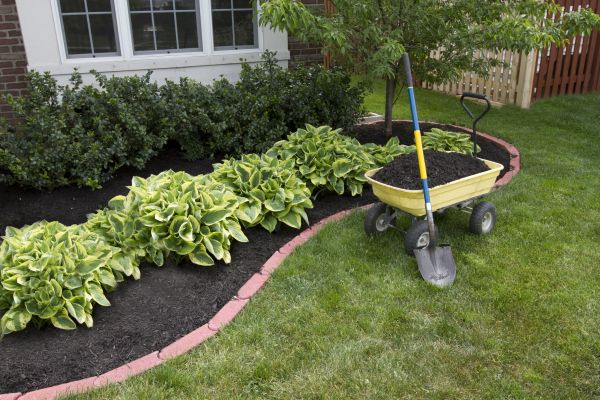 Landscape Mulching in Valencia