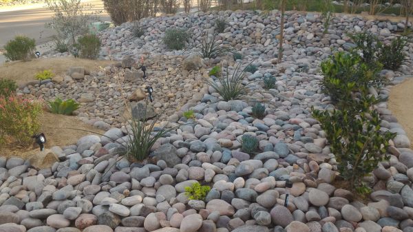 Yard Xeriscaping in Valencia