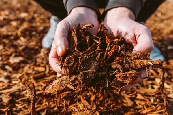 Bark Chips Delivery in Valencia