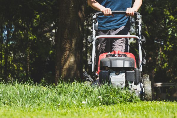 Garden Trimming Service in Valencia