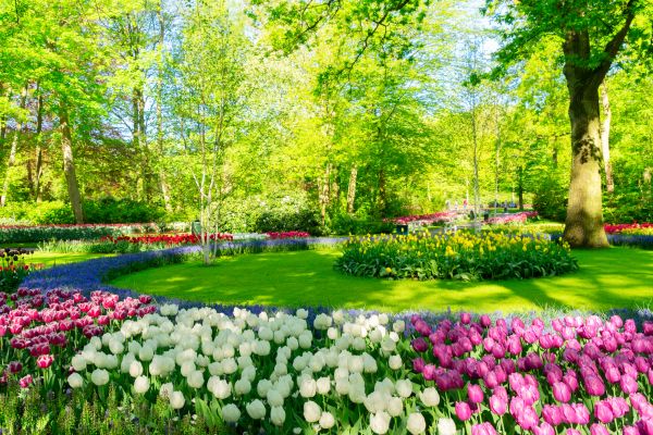 Flower Landscaping in Valencia