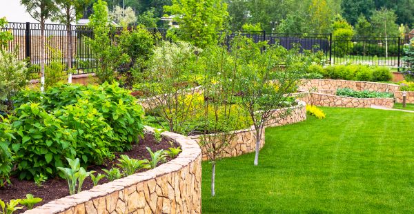 Yard Makeover Service in Valencia