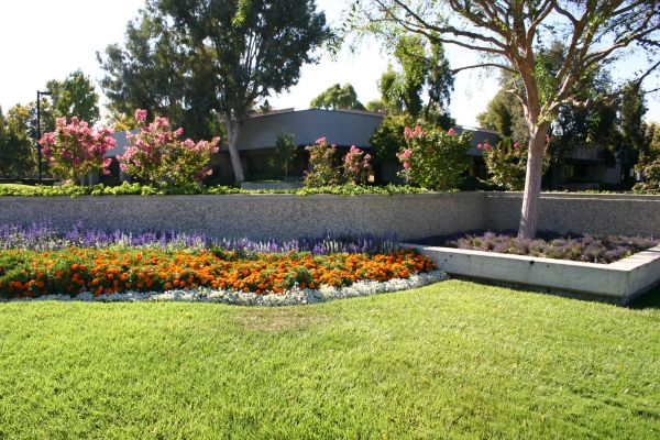 Commercial Landscape Service in Valencia