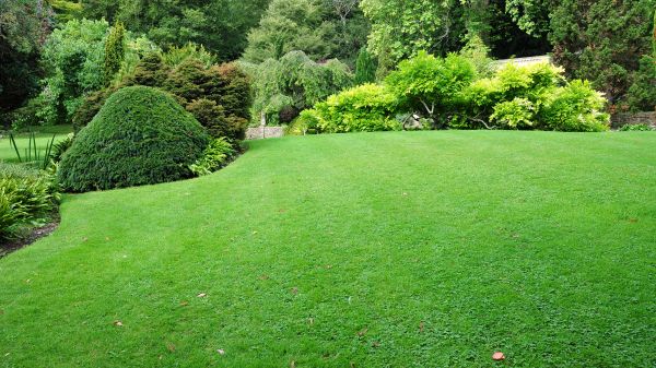 Commercial Landscape Design in Valencia