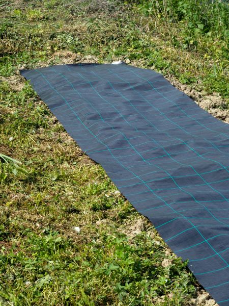 Weed Suppressant Installation in Valencia