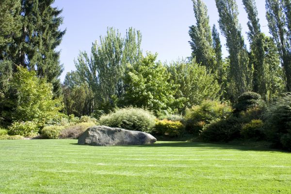 Yard Enlargement in Valencia