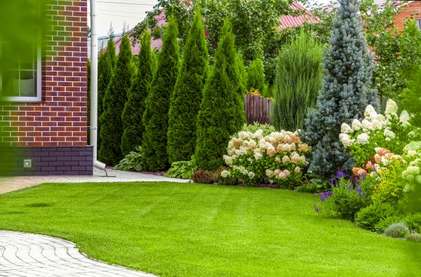 Spring Landscaping in Valencia