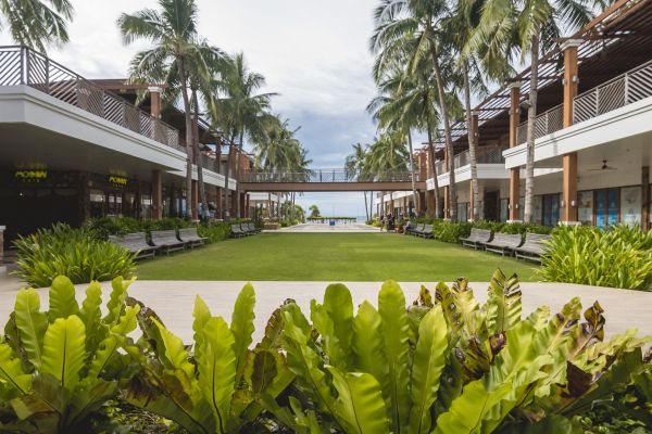 Commercial Lawn Renovation in Valencia