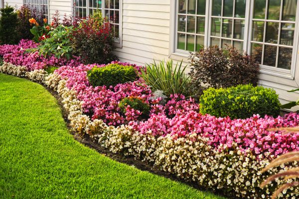 Garden Landscape Design in Valencia