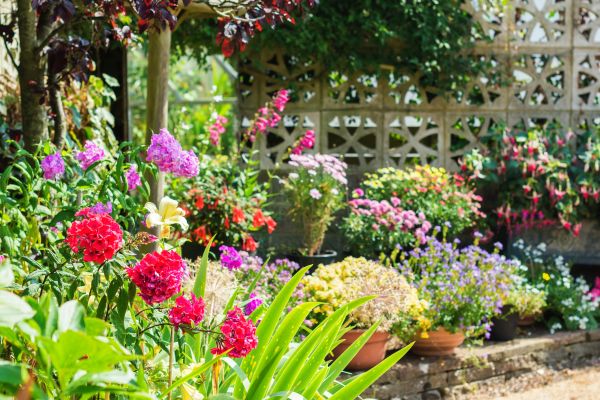 Spring Garden Maintenance in Valencia
