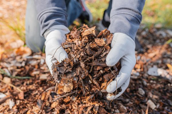 Shredded Mulch Installation in Valencia