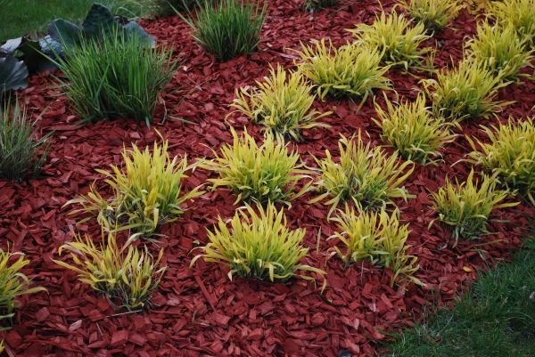Red Mulch Installation in Valencia
